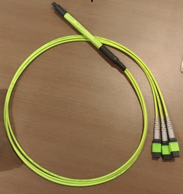 patch cord amp om5